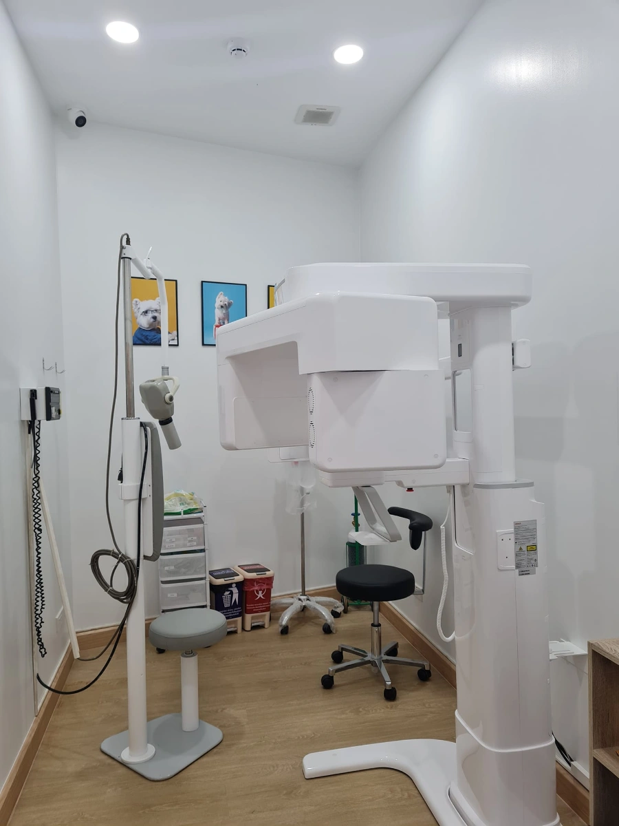 Brighter Smile Dental Clinic - รูปภาพที่ 4