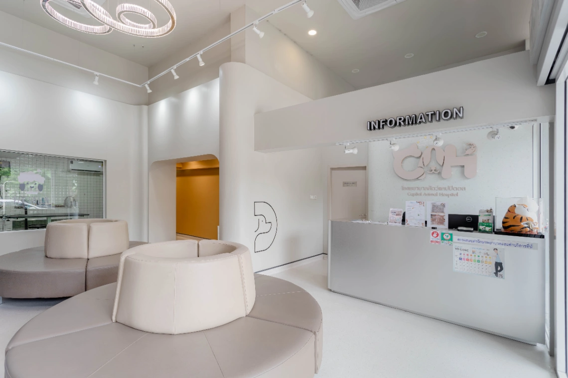 โรงพยาบาลสัตว์แคปปิตอล เปิด 24 ชั่วโมง - รูปภาพที่ 4