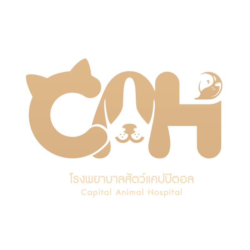 โลโก้ โรงพยาบาลสัตว์แคปปิตอล เปิด 24 ชั่วโมง