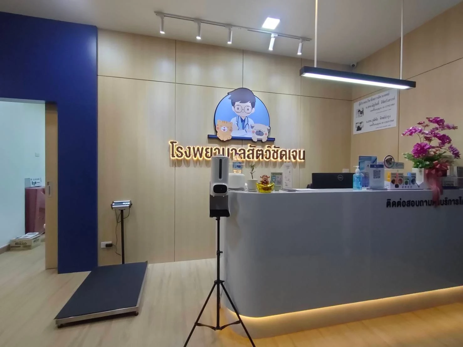 โรงพยาบาลสัตว์ชัดเจน บางบัวทอง นนทบุรี - รูปภาพที่ 1