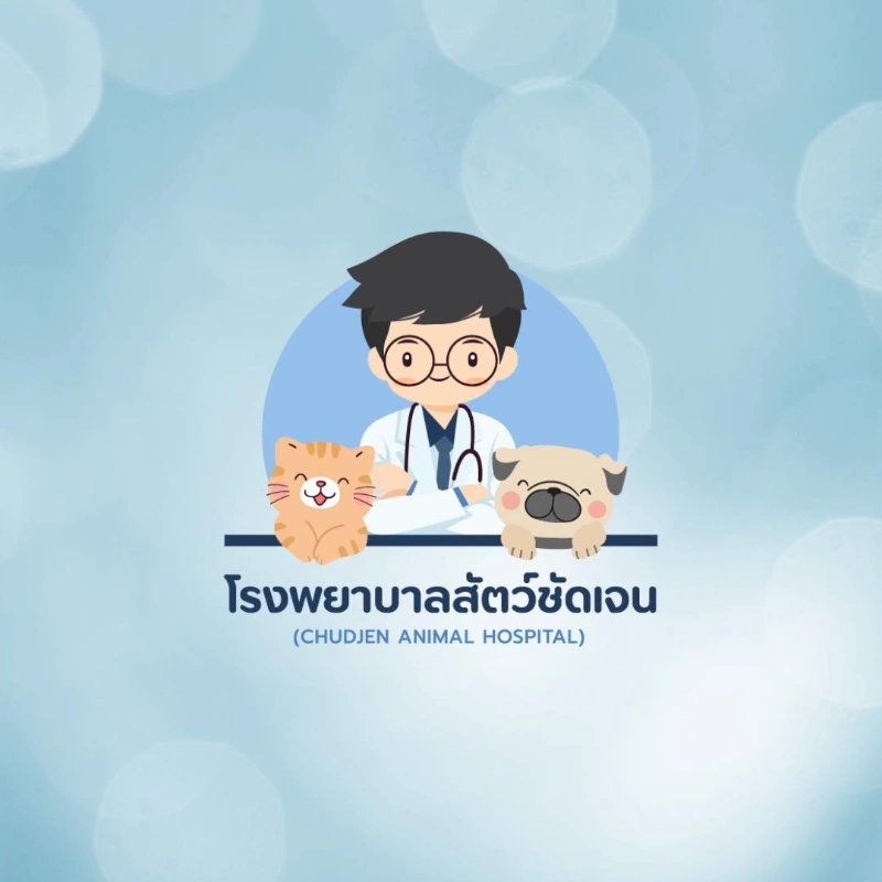 โลโก้ โรงพยาบาลสัตว์ชัดเจน บางบัวทอง นนทบุรี