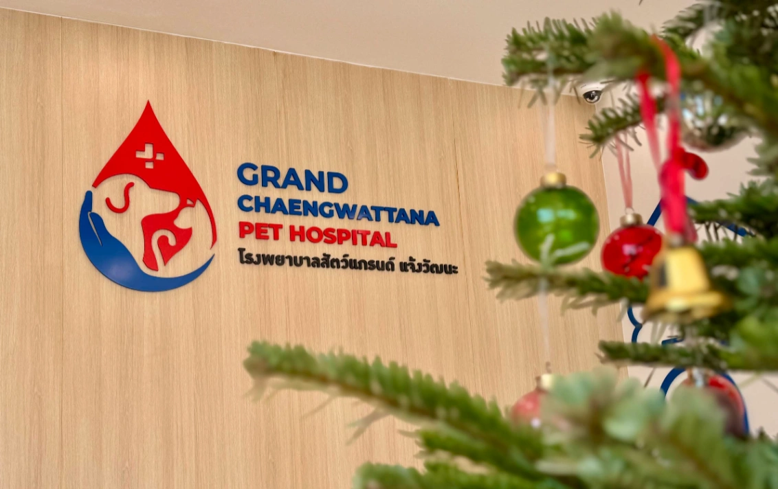 โรงพยาบาลสัตว์แกรนด์ แจ้งวัฒนะ - รูปภาพที่ 3