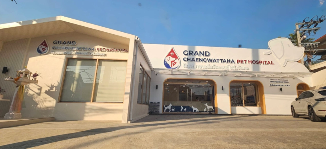 โรงพยาบาลสัตว์แกรนด์ แจ้งวัฒนะ - รูปภาพที่ 4