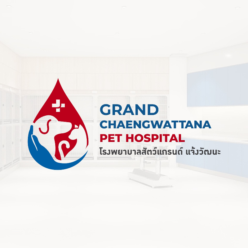 โรงพยาบาลสัตว์แกรนด์ แจ้งวัฒนะ