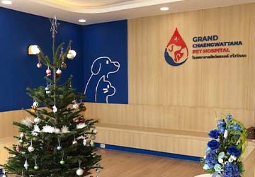 Screenshot 2025-12-19 155131