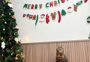 589198993_1160314129558622_6235294495808703236_n