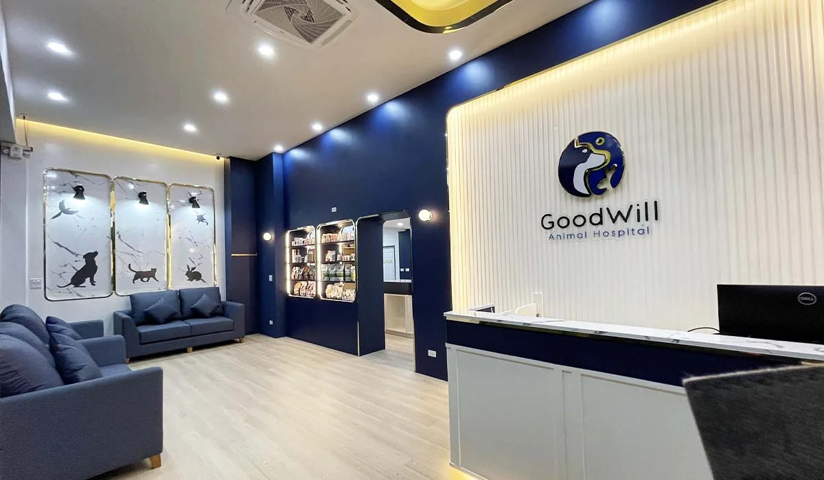 ทำหมันสัตว์ ที่ โรงพยาบาลสัตว์กู๊ดวิลล์ แจ้งวัฒนะ-ชัยพฤกษ์