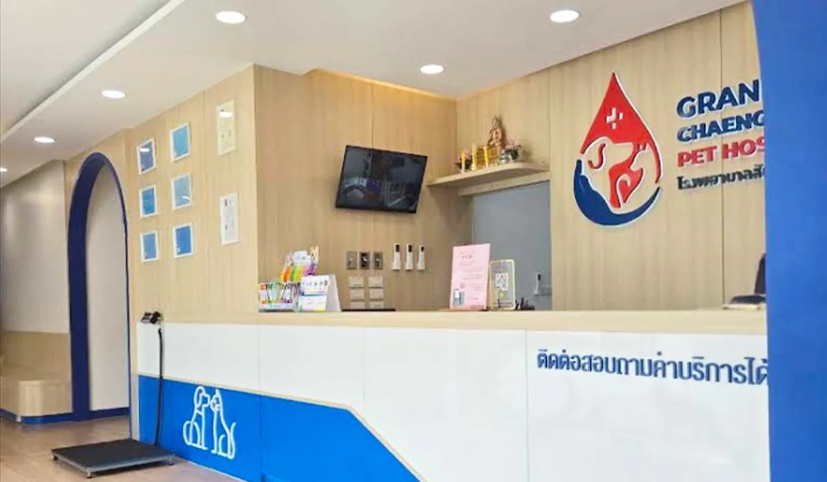 ทำหมันสัตว์ ที่ โรงพยาบาลสัตว์แกรนด์ แจ้งวัฒนะ