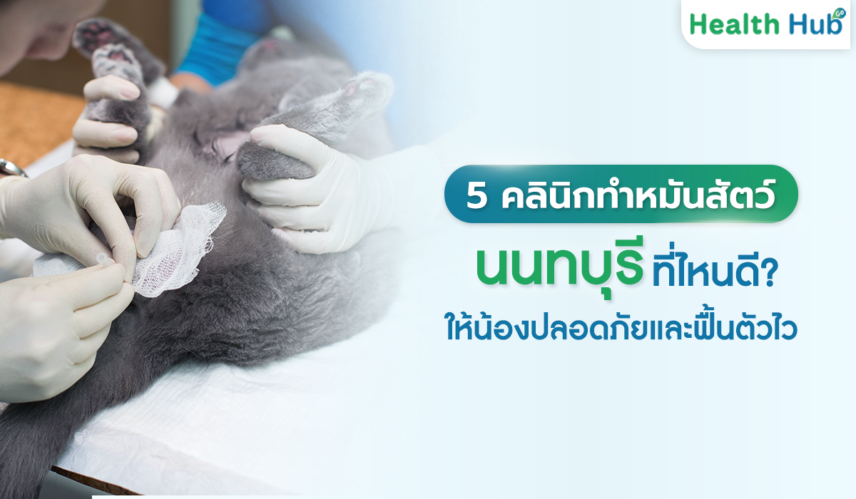 ส่อง 5 คลินิกทำหมันสัตว์ ในนนทบุรี พาน้องไปที่ไหนดี?